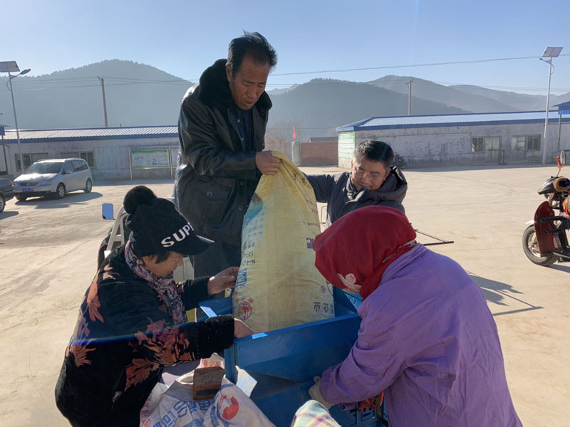 收購現(xiàn)場,王強(右二)幫助村民抬小米