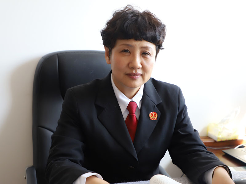 葫蘆島市中級人民法院執(zhí)行局局長 安靜