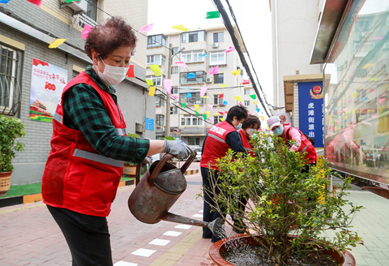 志愿者服務(wù)隊在和合大院內(nèi)美化小區(qū)環(huán)境。