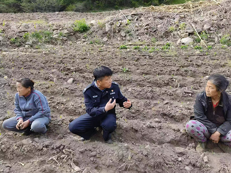 張獻軍（左二）在田間地頭為村民化解矛盾