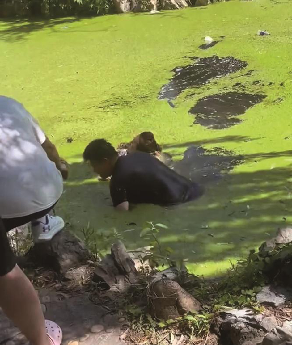 男子迅速抓住大娘將她往岸邊拖。