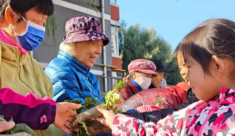1社區(qū)工作者帶領(lǐng)孩子們把在沈陽市沈河區(qū)翠塔社區(qū)兒童活動(dòng)空間“一米菜園”收獲的蔬菜送給轄區(qū)老年人