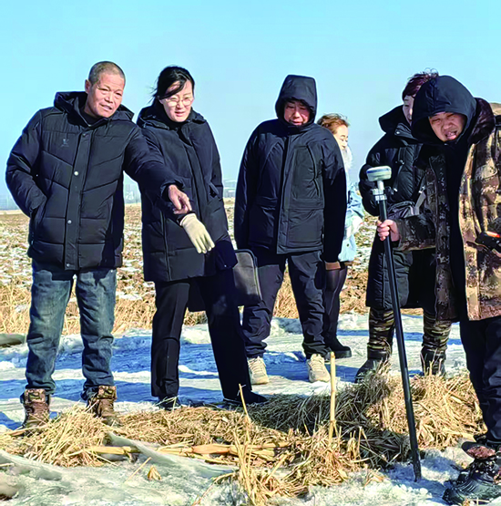 3蘇家屯區(qū)法院林盛法庭法官王菲（左二）組織土地糾紛案件的雙方當事人和村干部一起查找土地四至邊界