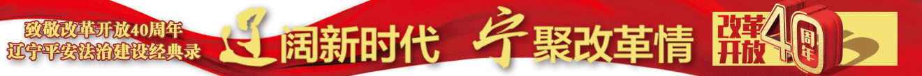 致敬改革開(kāi)放40周年遼寧平安法治建設(shè)經(jīng)典錄